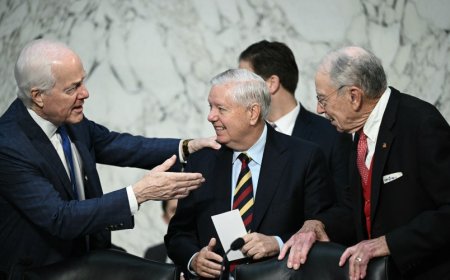 Republicans Release Sweeping Legislation to Keep ICE Funded Through End of Trump’s Term