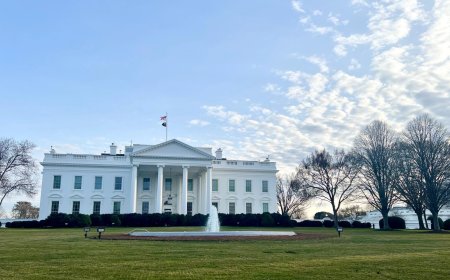 U.S. Bitcoin Reserve update coming in 'next few weeks," White House adviser says