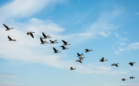 The $700 million migration: Why Solv Protocol is ditching LayerZero for Chainlink