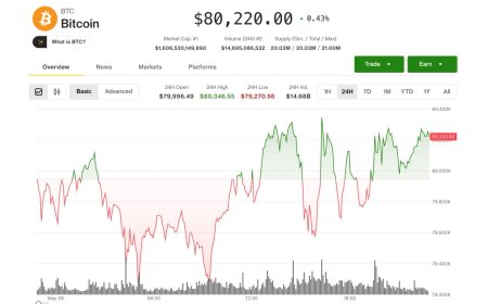Coinbase rebounds as altcoins surge with bitcoin holding above $80,000
