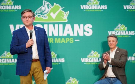 Virginia State Supreme Court Strikes Down Dem Redistricting Proposal