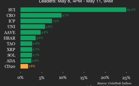 CoinDesk 20 performance update: SUI surges 25% over weekend