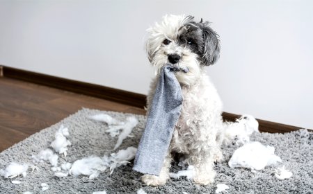Why Leaders Should Let Minor Mistakes Slide