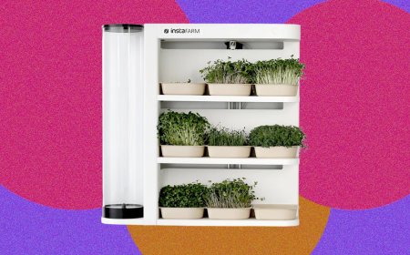 InstaFarm Automated Indoor Microgreens Garden Review: Easy Being Green