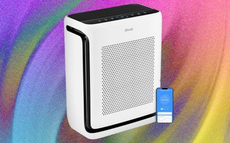 Best Air Purifiers (2026): Coway, AirDoctor, IQAir, and More