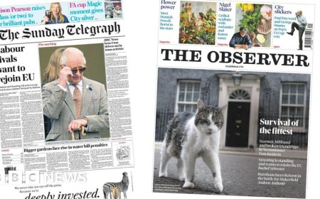 The Papers: 'Labour rivals want to rejoin EU' and 'survival of the fittest'