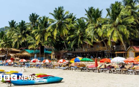 Tourists used to flock to India's party capital, Goa. Now many are heading elsewhere