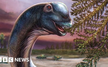 Giant new dinosaur identified from fossils in Thailand
