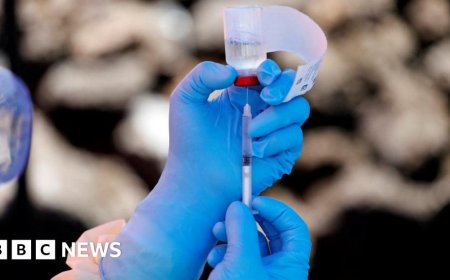 WHO declares Ebola outbreak in DR Congo a global health emergency