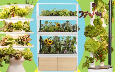 Best Indoor Garden Systems: I've Been Testing All Year (2026)