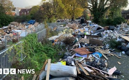 Waste carrier licences to be tightened as part of illegal dumping crackdown
