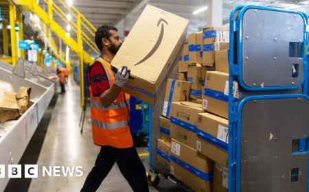Why does Amazon have no Western rivals?