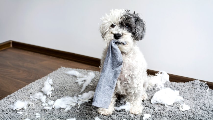 Why Leaders Should Let Minor Mistakes Slide